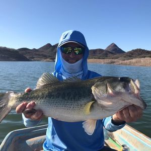 Meet your Posher, Jerry